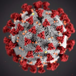 coronavirus microscope image