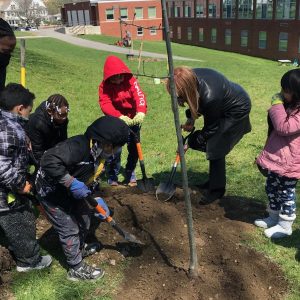 Marcia White plants trees with students from TOAST in Albany